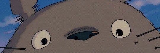 ☄️ || Bara 🍉 banner