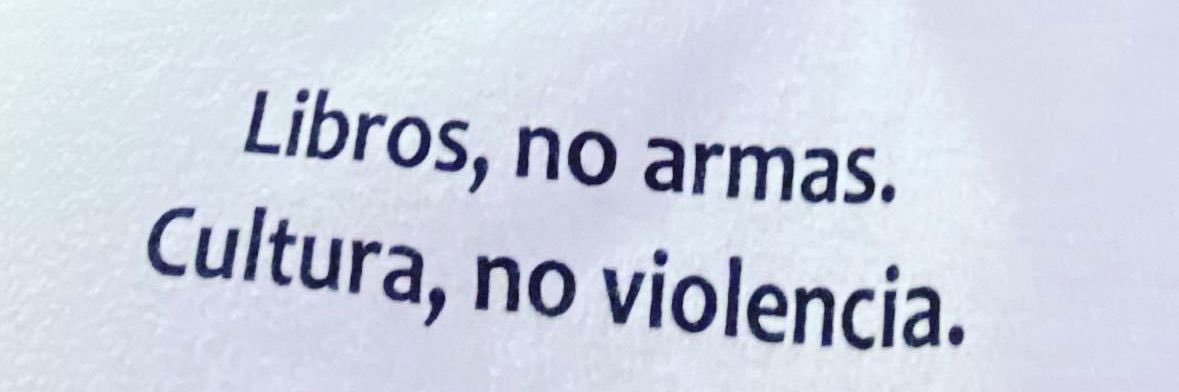Raúl Solís ✌️🏳️‍🌈 #FuckWar's banner