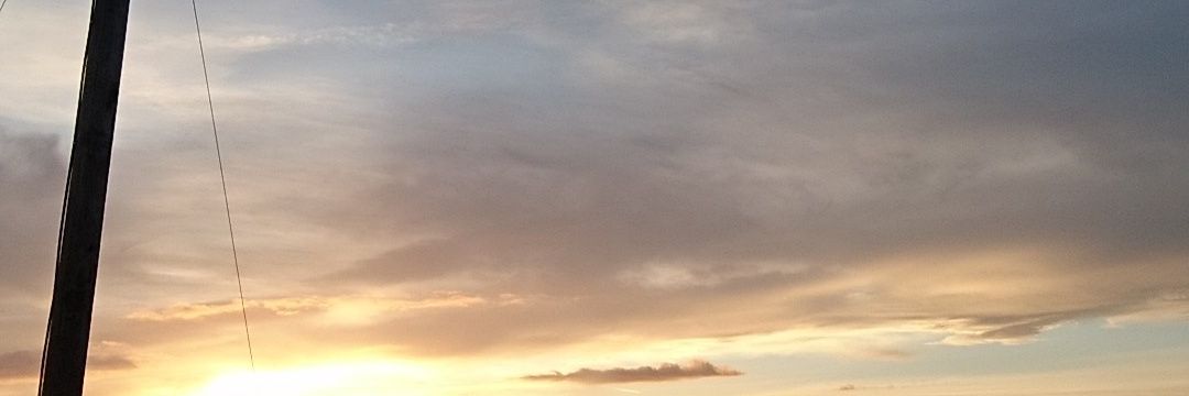 McConachyP's profile banner image
