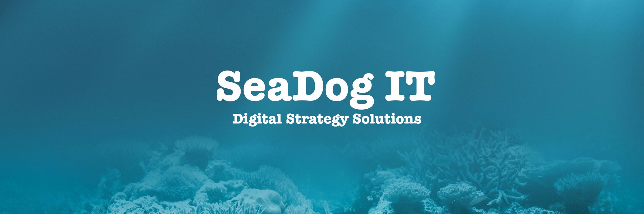 seadogit's profile banner image