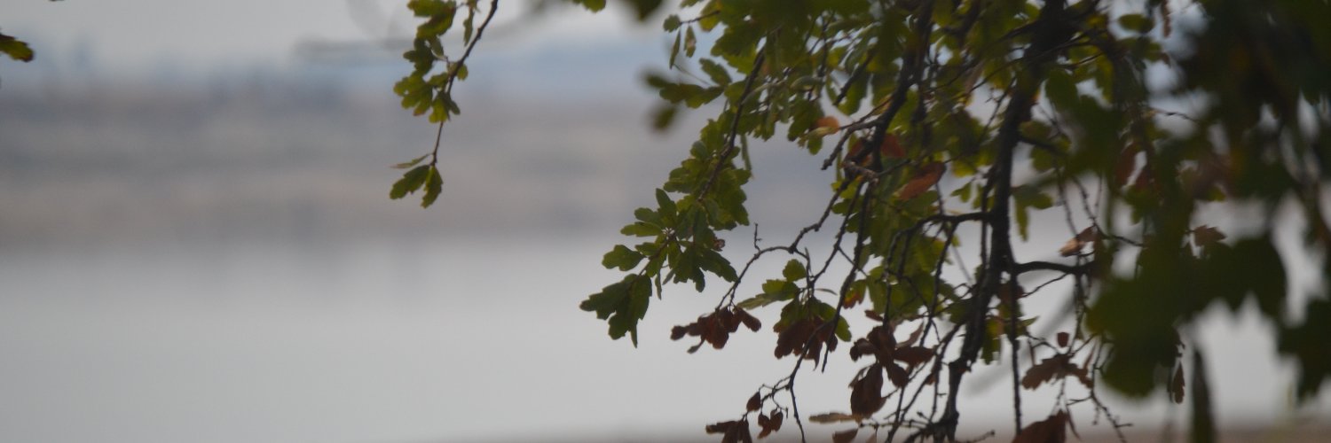 IM_Weasel's profile banner image