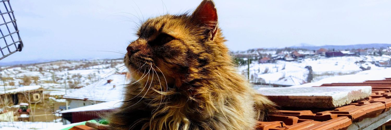 Recep Yıldırım¹ banner