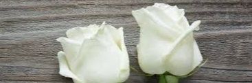 c2maqsood's profile banner image
