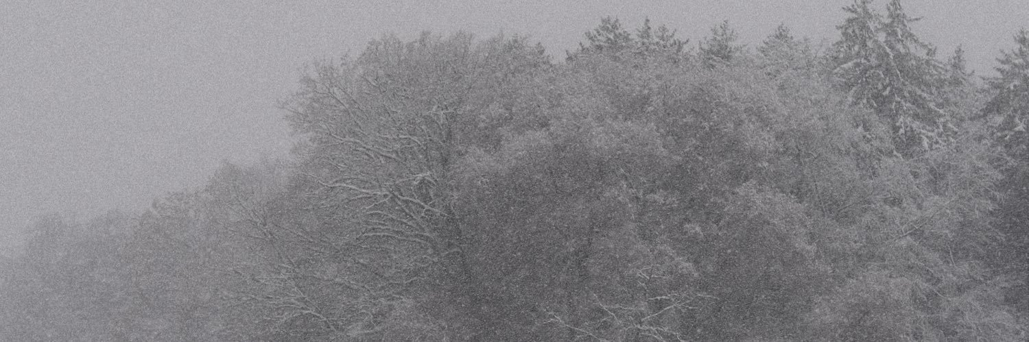 codingvlad's profile banner image