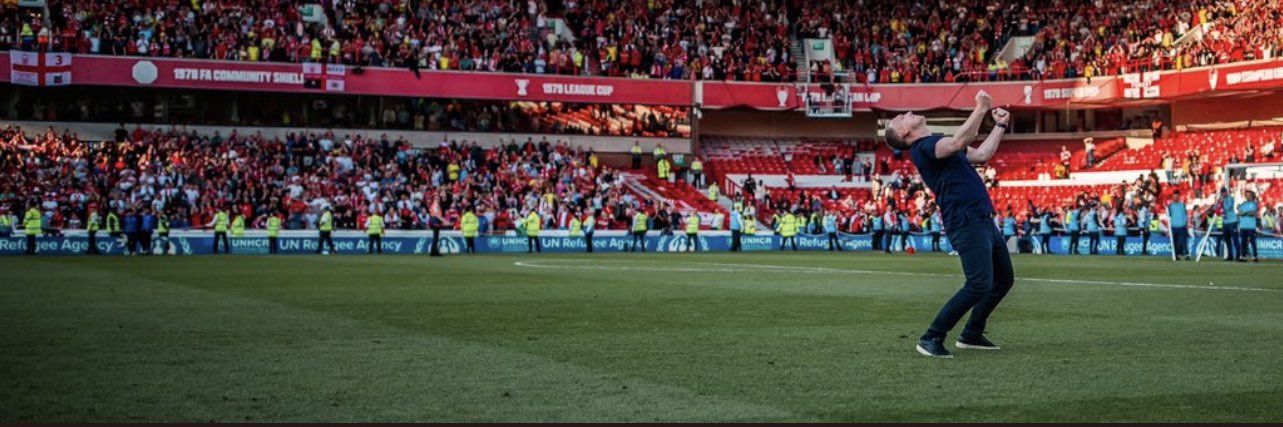 David England banner