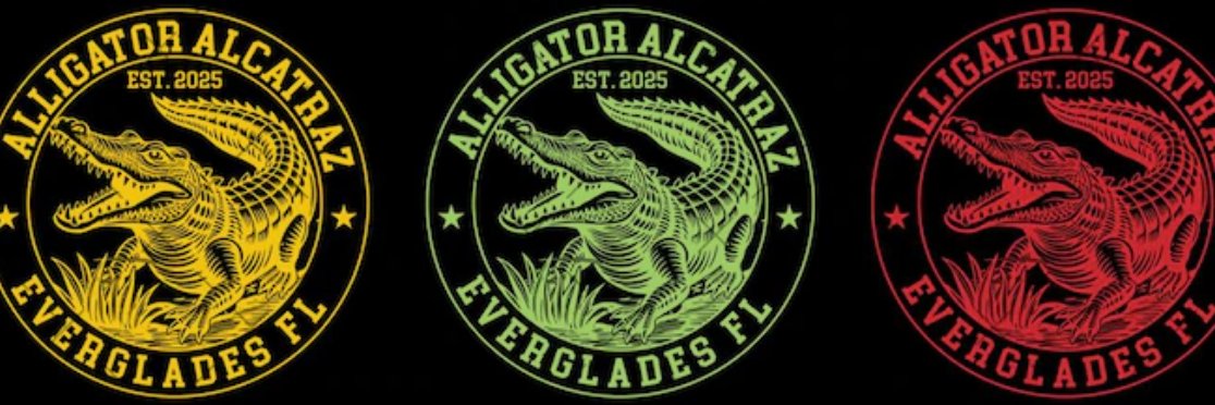 General Mayhem banner