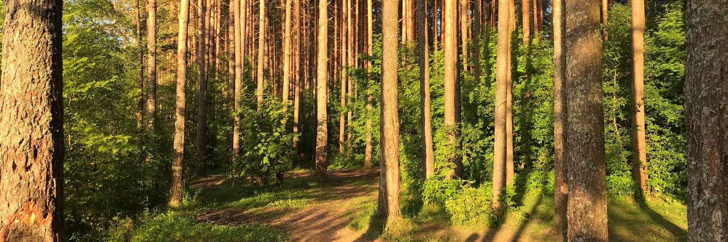 OlegOFF13's profile banner image