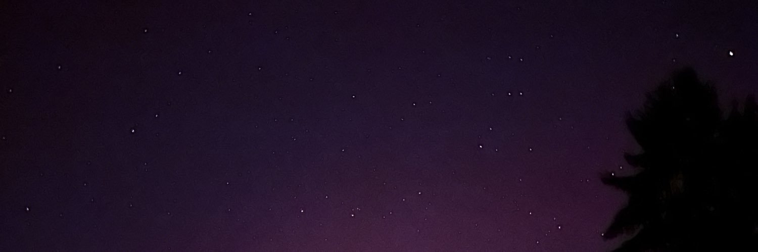 L4TrapQueen's profile banner image
