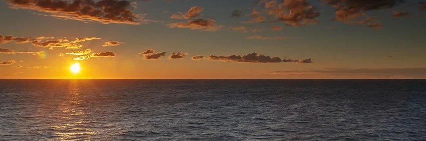 Elon Musk Brasil 😎 banner