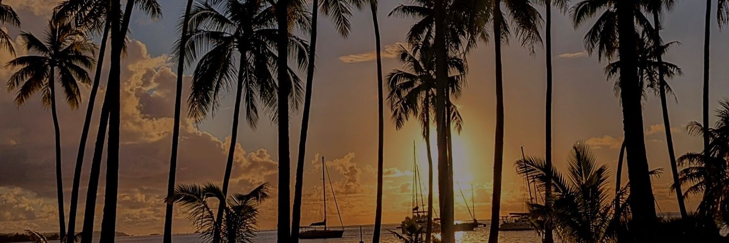 Mendaciloquent's profile banner image