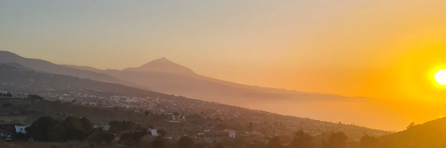 diegoomagdalena's profile banner image