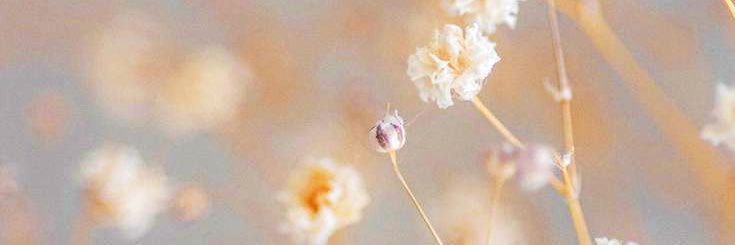 Val banner