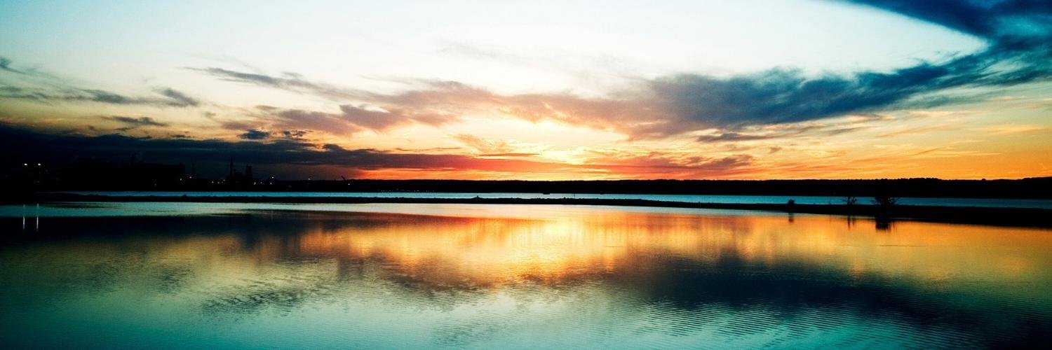 ltormena's profile banner image