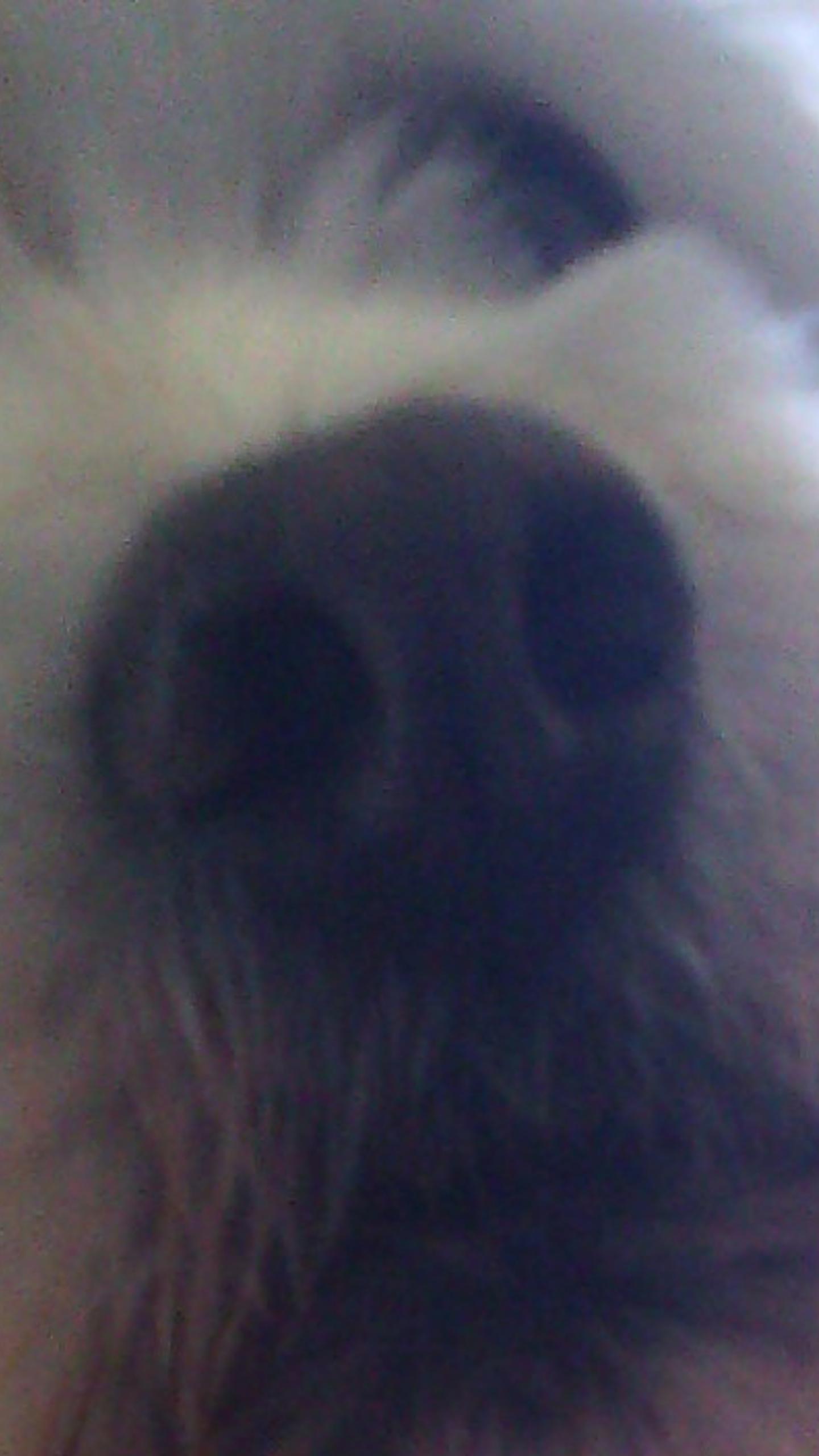 fernandeswilto1's profile banner image