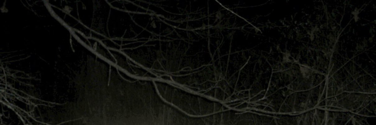 ASRL banner