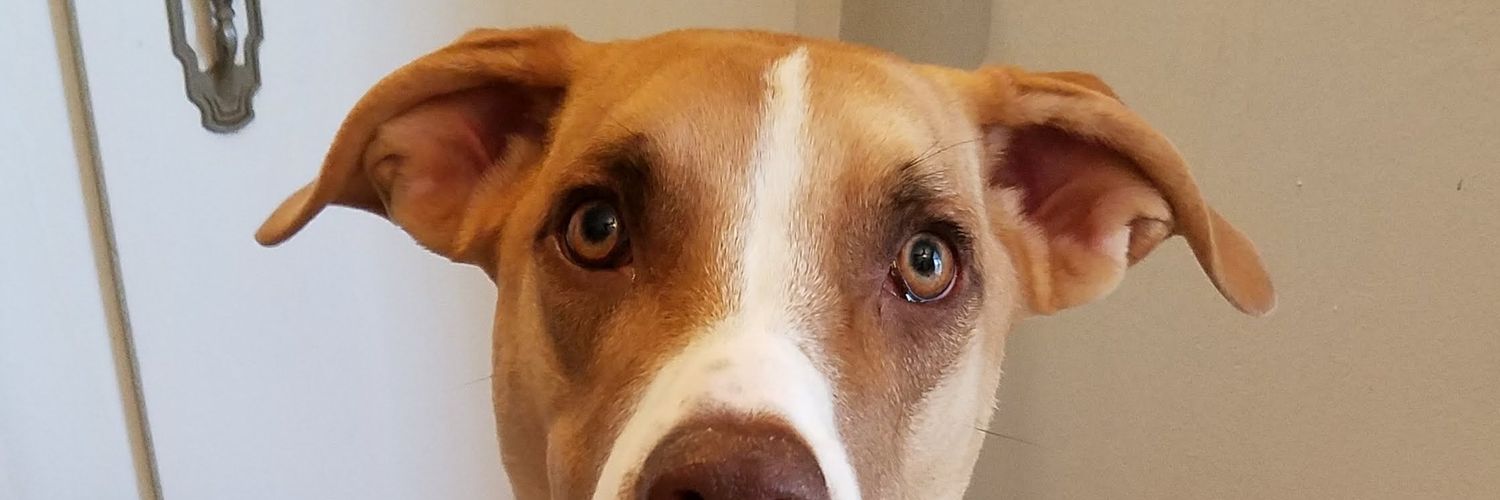caseymae's profile banner image