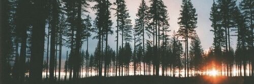 saiiwhaat's profile banner image