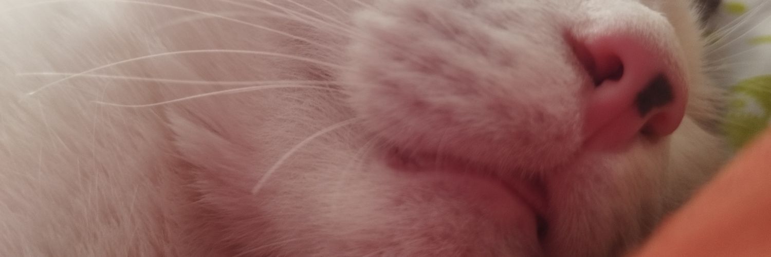 Kris banner
