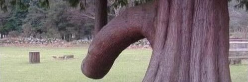 Tyler from the HOOD banner