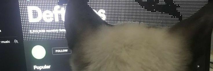 neverminds02's profile banner image