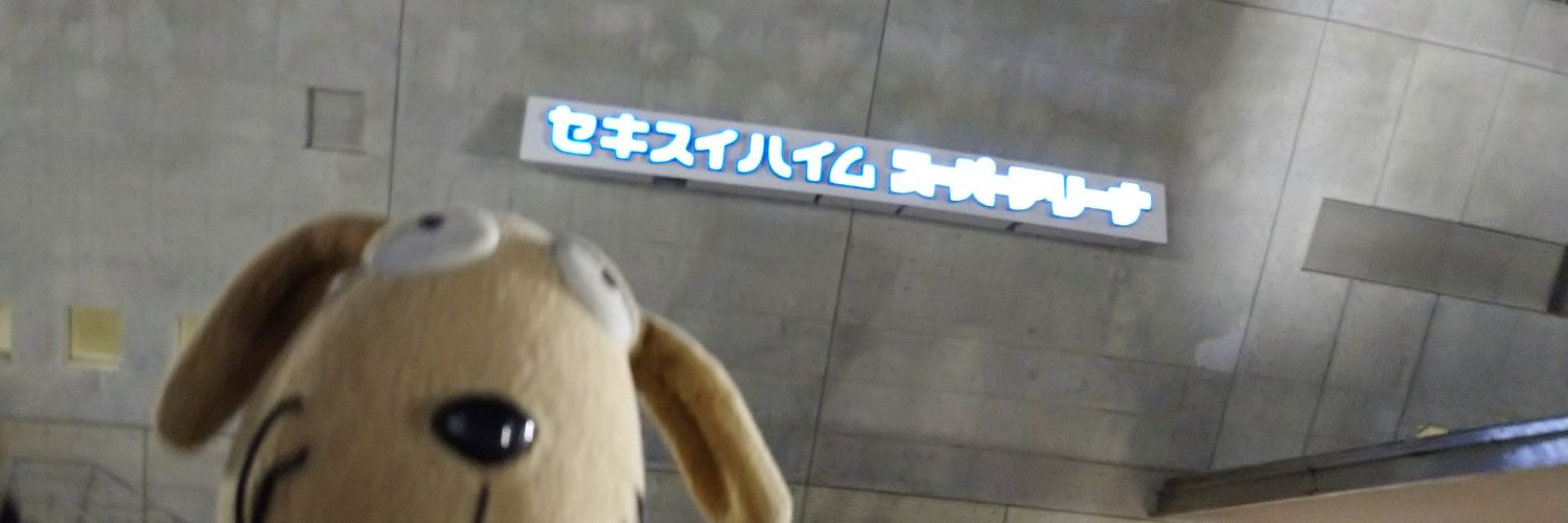 🍃風民シー坊🍃 banner