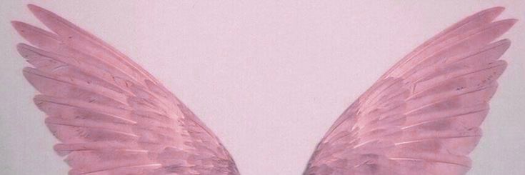 mows banner