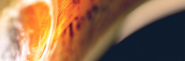 boemuseum Profile Banner