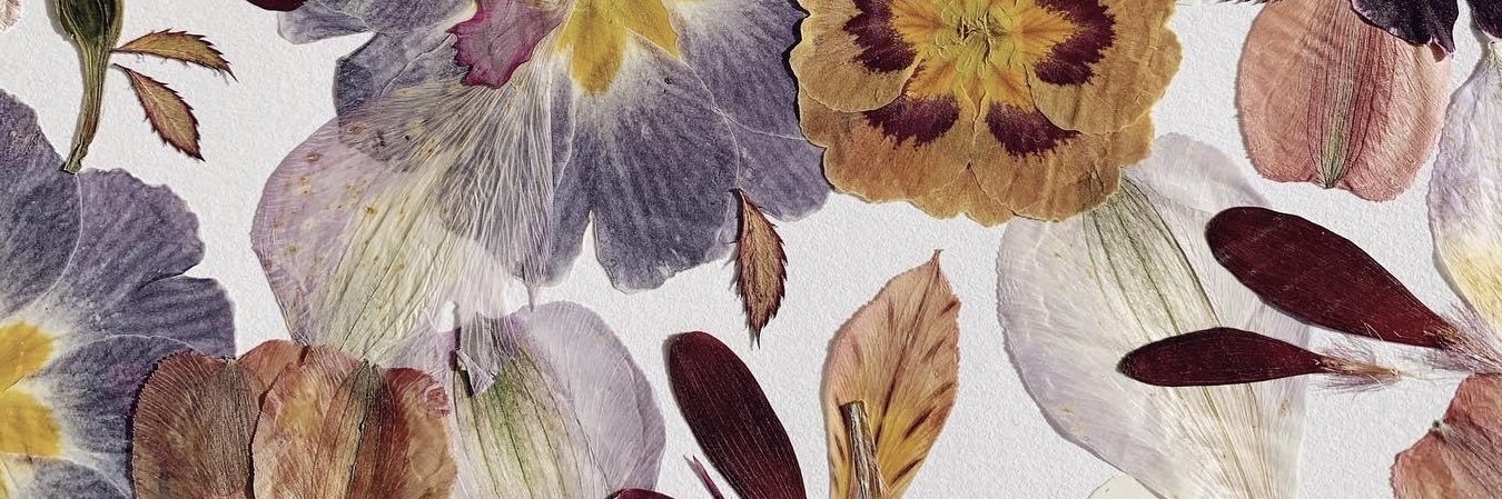 ash ࿐ DO IT banner