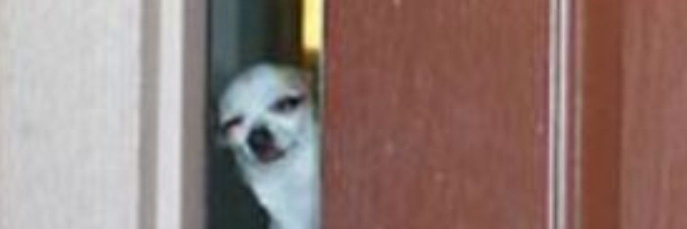 ihomeslice's profile banner image
