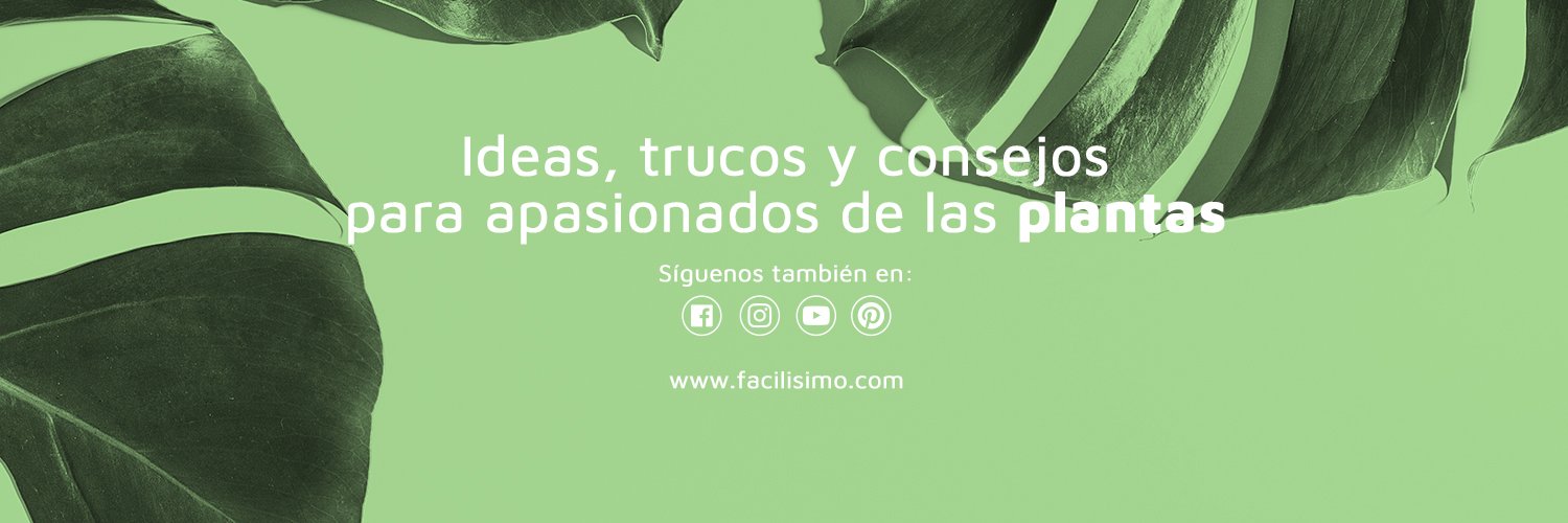 fPlantas's profile banner image