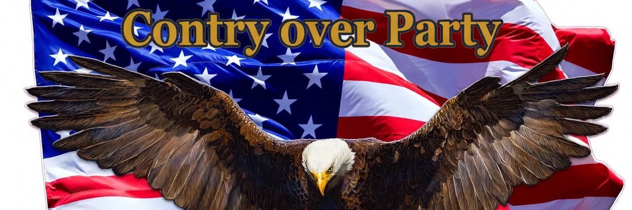 Elinor Qnarf 🇺🇸 banner