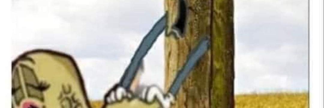 Jick Rames banner