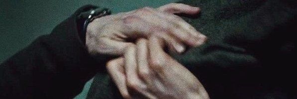 wellsy banner