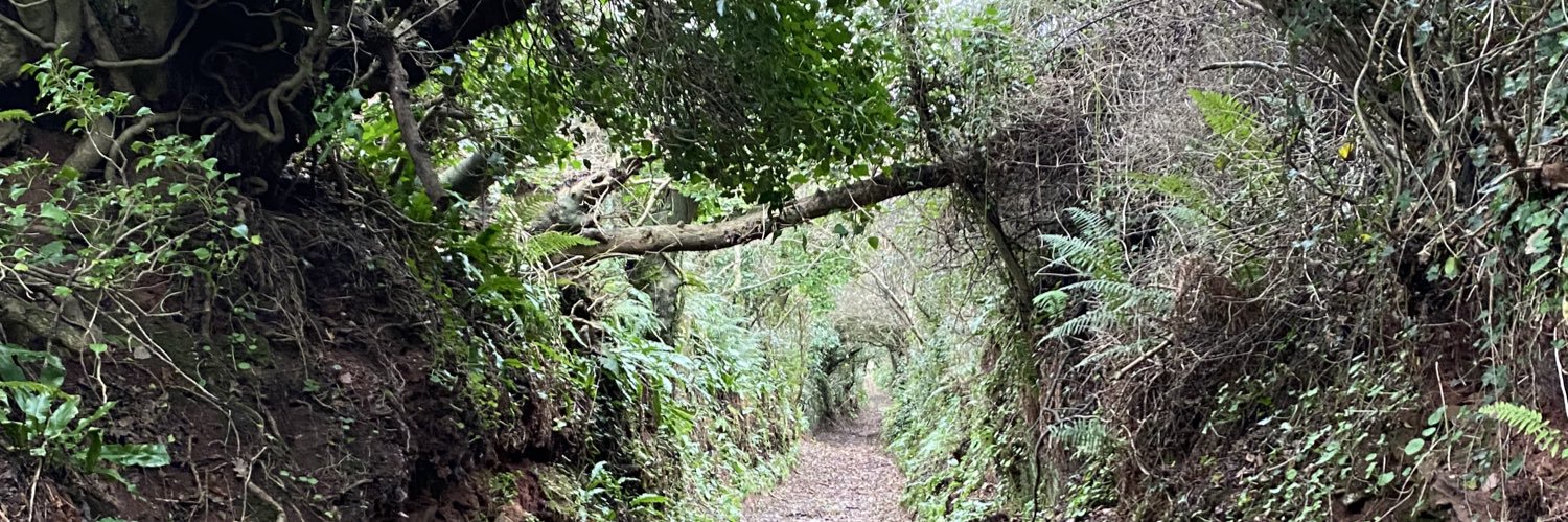 Grumpy Old Git banner