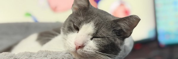 Washedrew Profile Banner