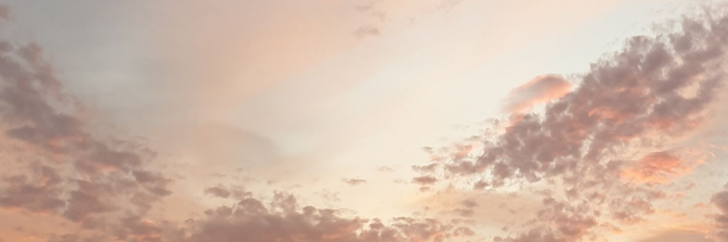 eilidhmaack's profile banner image