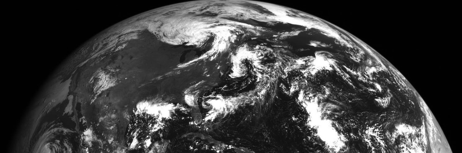 Nets Gone Wild banner