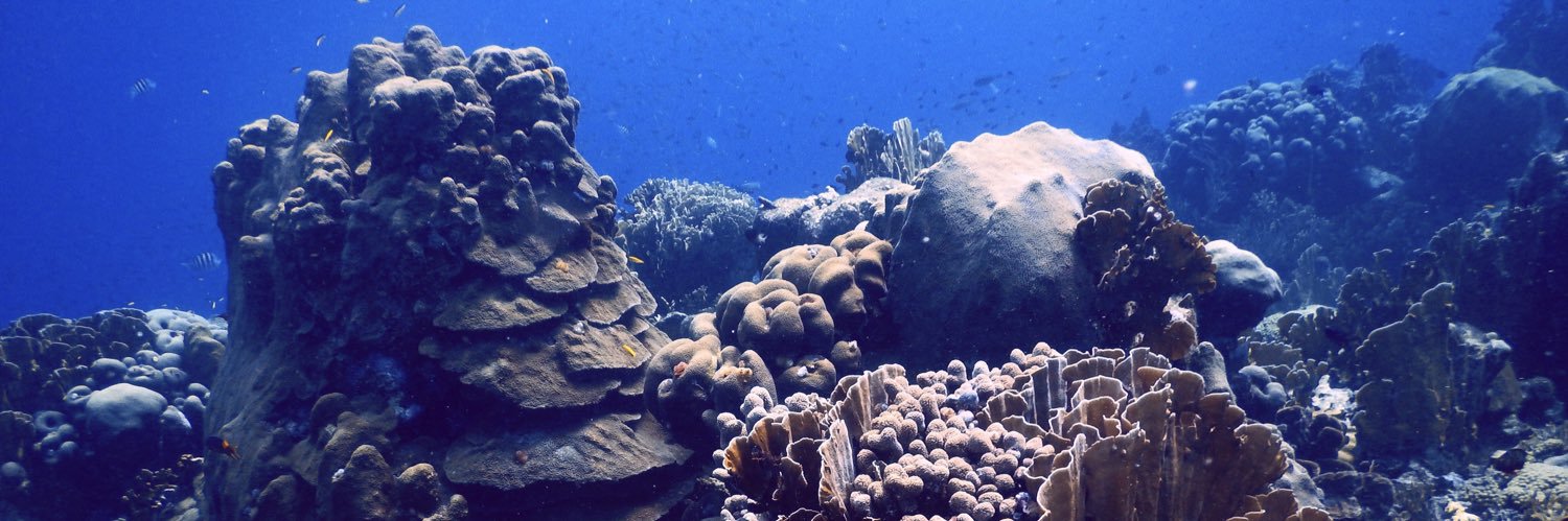 Sea_dais's profile banner image