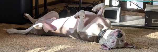 Thankfulness316 Profile Banner