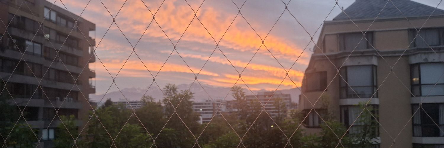 Maru 🌻💛 banner