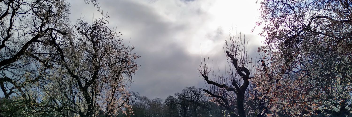 rhcrossley's profile banner image