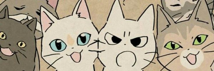 ttaymel's profile banner image