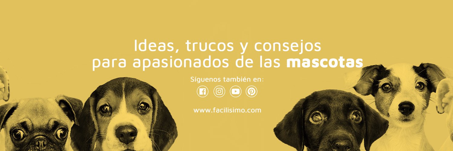 fMascotas's profile banner image