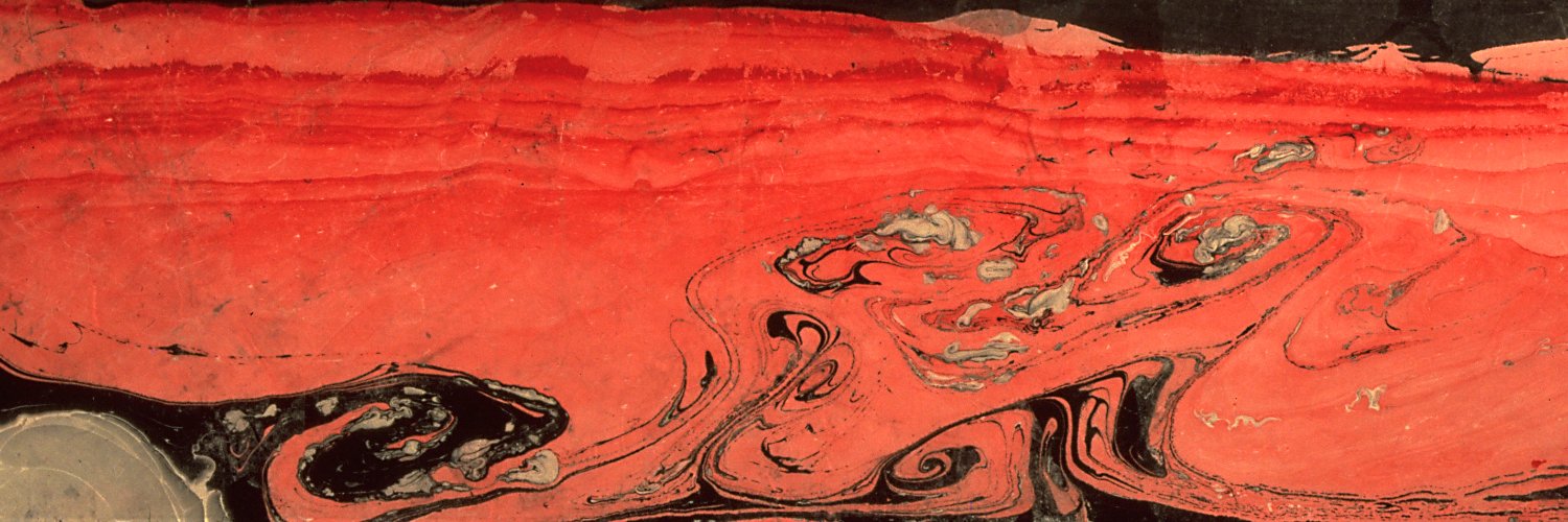 AmySegami's profile banner image