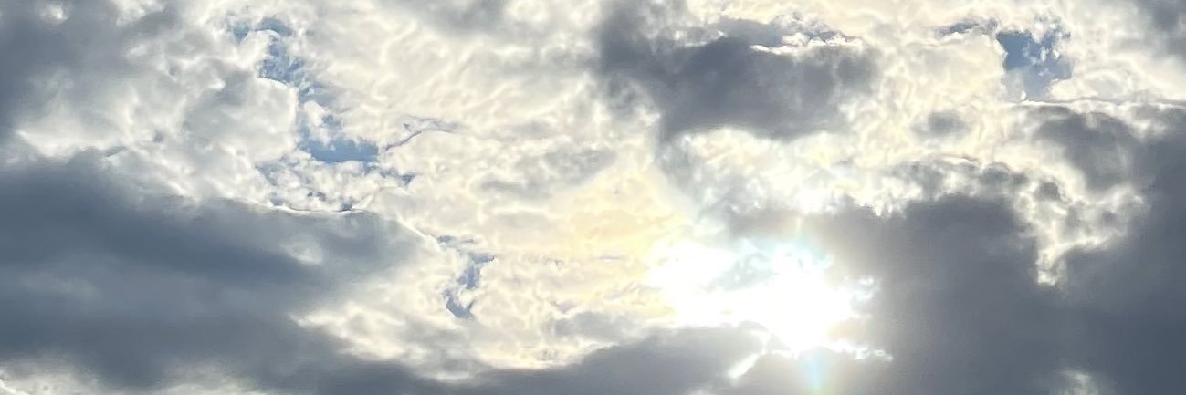RayvenJ's profile banner image