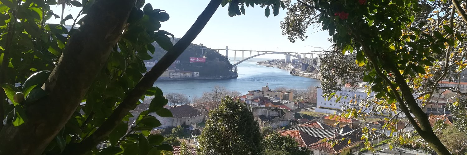 SaraIsaSoares's profile banner image