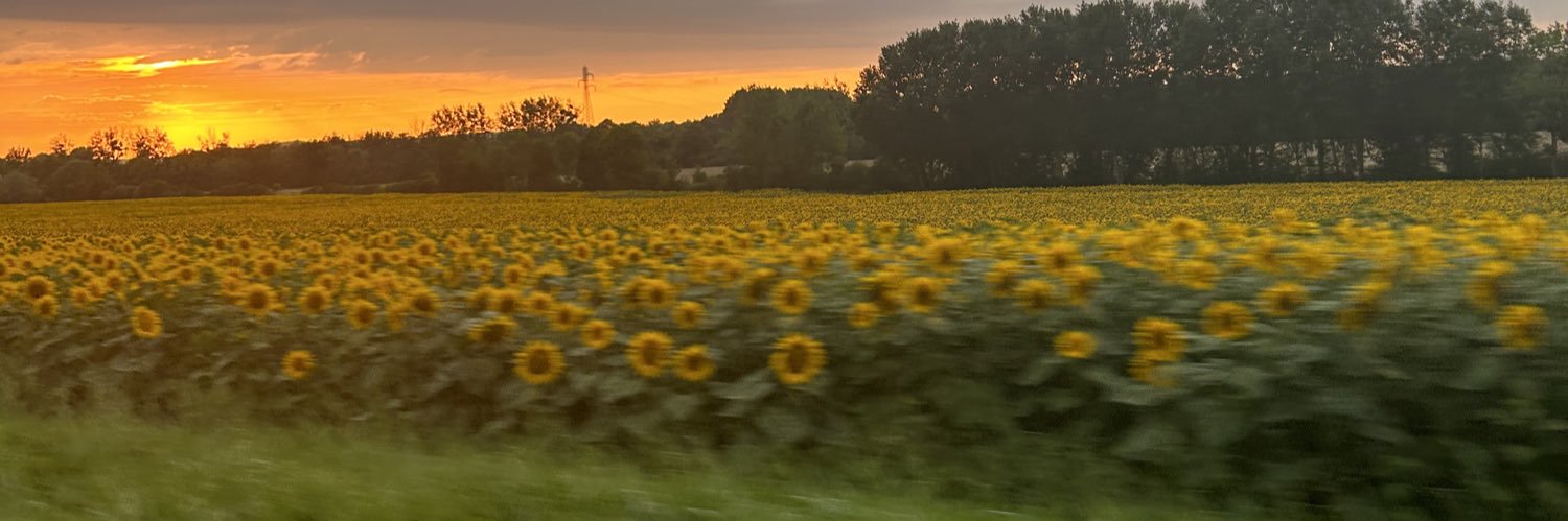 🕊️'s banner