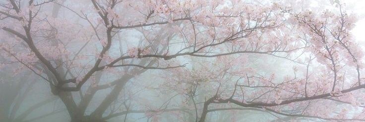 PISCES VX 🪽🥀 banner