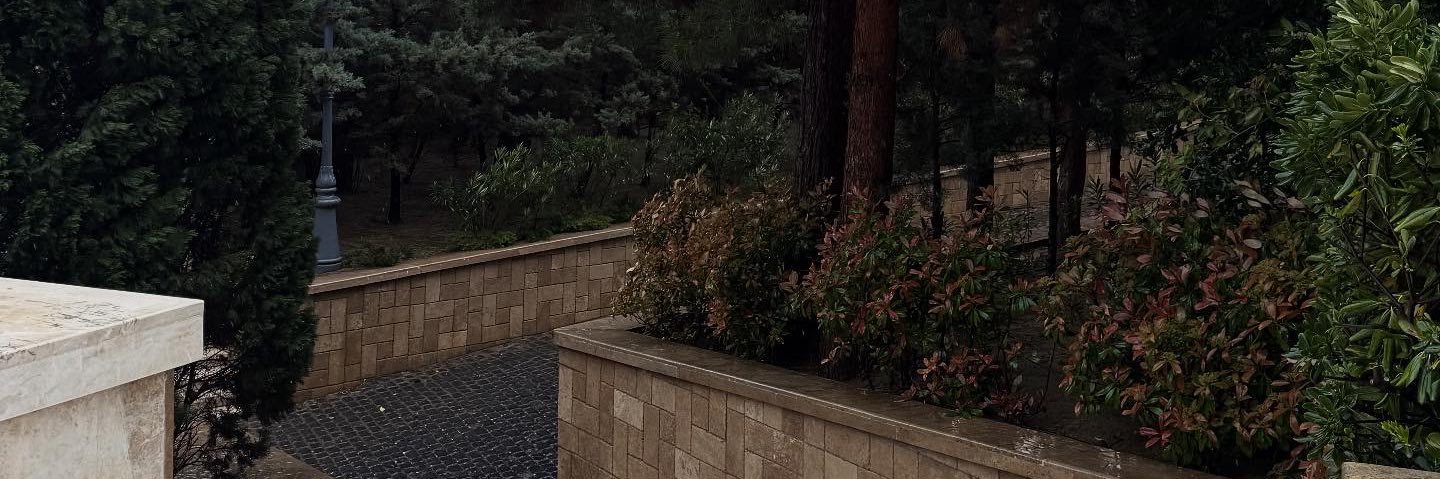 ltheky's profile banner image