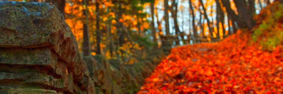FoxPointPatch's profile banner image